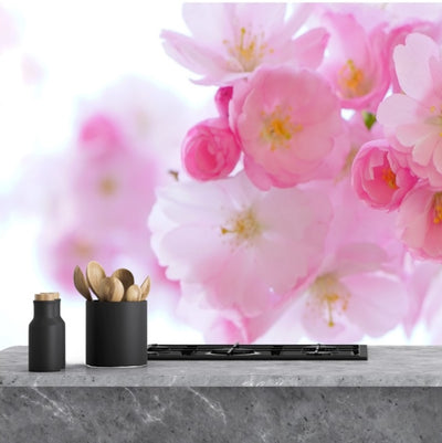 Sticla vopsita bucatarie placari #1042