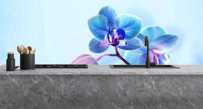 Sticla vopsita bucatarie placari  #1852
